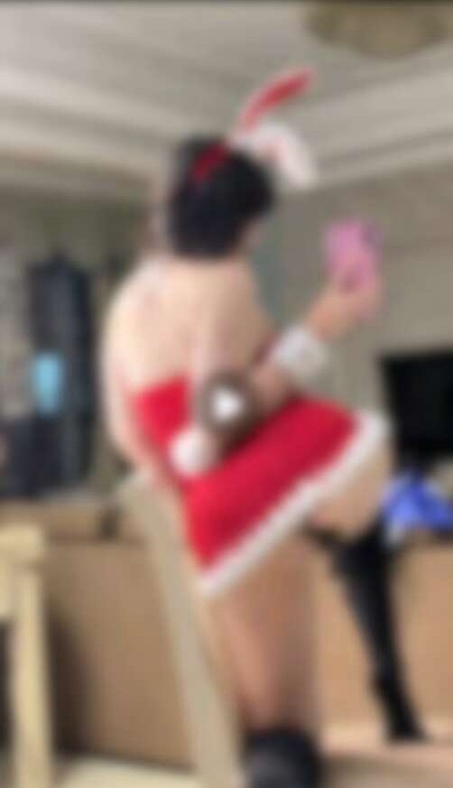 写真展示3